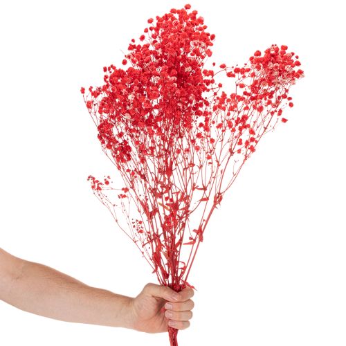 Sušený zväzok gypsofily (baby's breath) 75 cm 100 g | Floristik24.sk