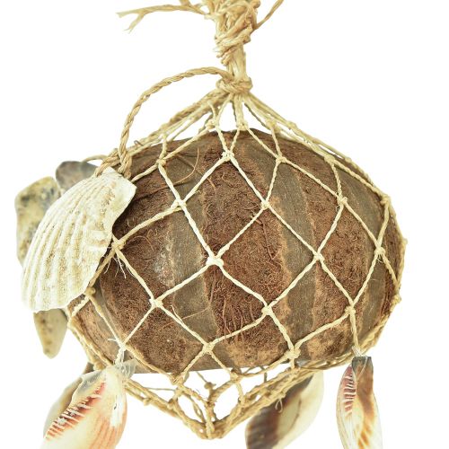 položky Závesná dekorácia mušle dekorácia z kokosových orechov námorná 53cm 2ks
