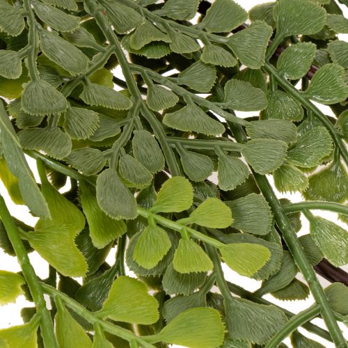 Umelá vetvička papradia, jemná, do vázy, 80 cm | Floristik24.sk