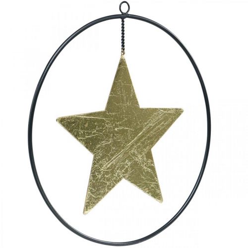 položky Vianočná dekorácia prívesok hviezda zlatá čierna 12,5cm 3ks