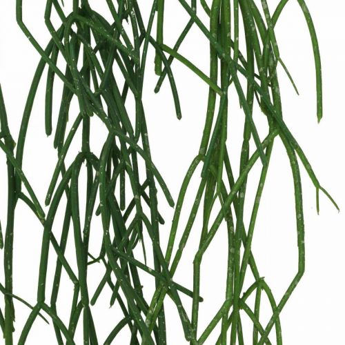 položky Ozdobné úponky, koralový kaktus, umelý vešiak Rhipsalis Green L120cm