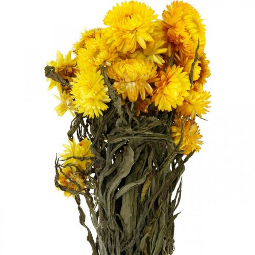 Floristik24 Slamovo žlté sušené sušené kvety ozdobný strapec 75g