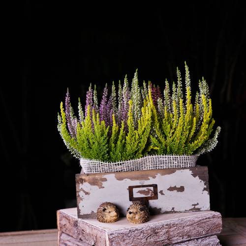 Floristik24 Kvetináč drevená zásuvka starožitná šedá 27 cm x 13 cm