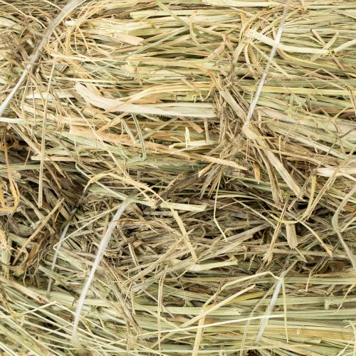 položky Vence zo sena, dekorácia na stôl, prírodný materiál, Ø 31-32 cm, sada 5 kusov