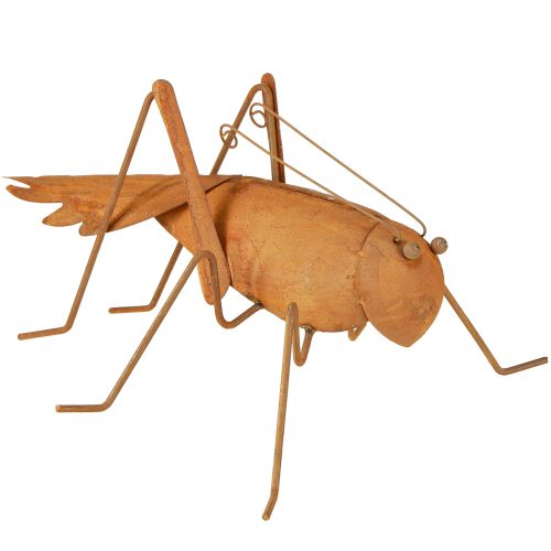 Floristik24 Záhradná dekorácia Kobylka Hrdzavá kovová dekorácia na postavenie 26cm