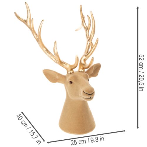 Dekoratívna socha jelenej hlavy s veľkými parohmi, 52 cm | Floristik24.sk
