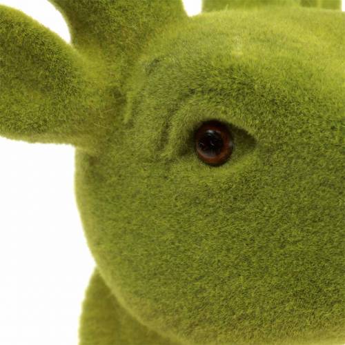 položky Dekoratívna hlava jeleňa povliekaná machovo zelená 30cm x 23cm