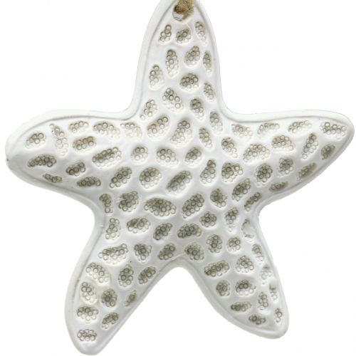 položky Deco vešiak hviezdica, morský koník 12cm 3ks