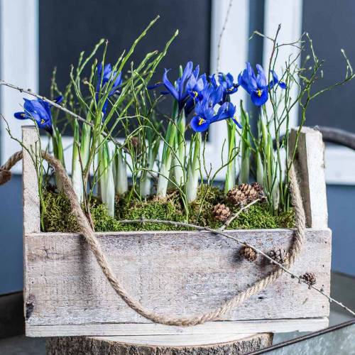 položky Drevený box na sadenie, box na náradie, box na rastliny s rúčkou, drevená dekorácia 30cm