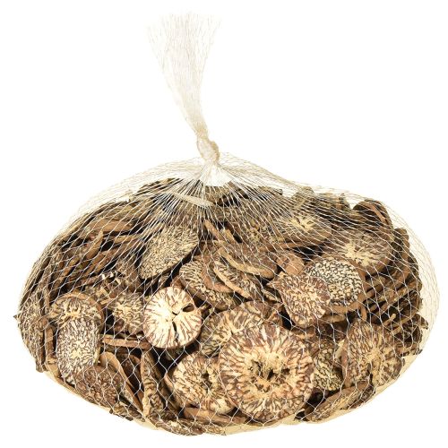 položky Drevené dekoratívne kotúče z betelových orechov, plátky arekovej 1-3,5 cm 300 g