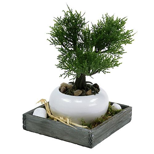 Floristik24 Drevený podnos sivý 14cm x 14cm x 3cm 5ks