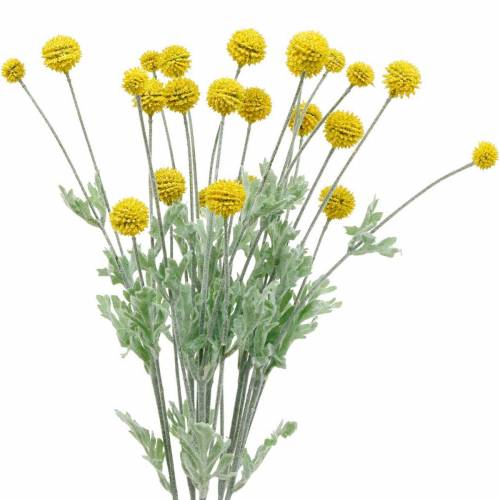 položky Palička na stehná žlté umelé kvety Craspedia hodváb