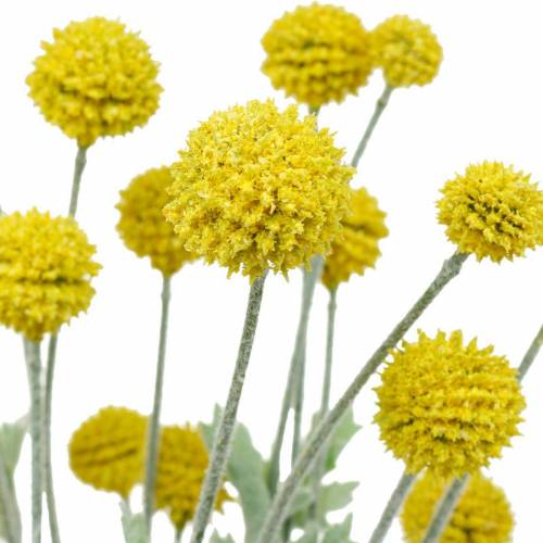 položky Palička na stehná žlté umelé kvety Craspedia hodváb