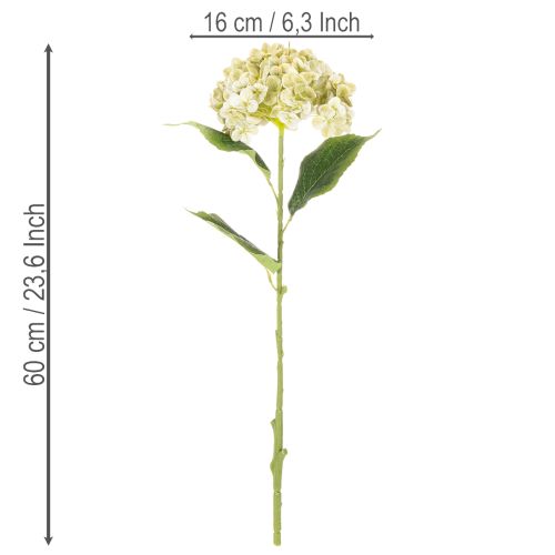 Umelý kvet hortenzie s dlhou stonkou a listami, 60 cm | Floristik24.sk