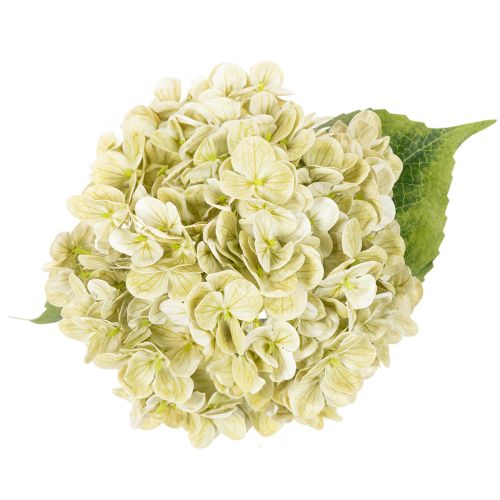 Umelý kvet hortenzie s dlhou stonkou a listami, 60 cm | Floristik24.sk