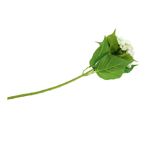 Hortenzia bielo-zelená 60cm | Floristik24.sk