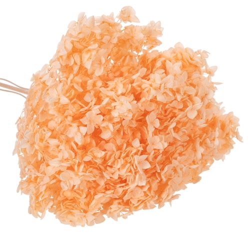 položky Kytica sušených kvetov hortenzie pre elegantnú kvetinovú výzdobu doma, 65 cm