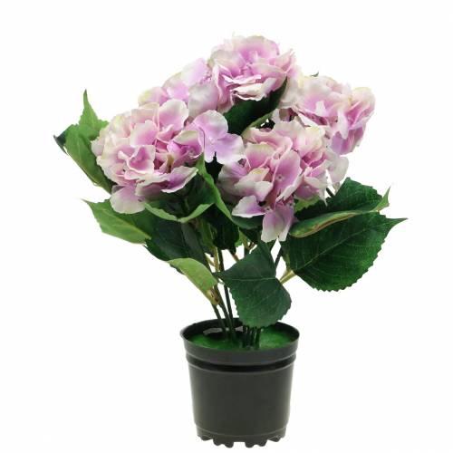 Floristik24 Hodvábne kvety hortenzie v orgovánovom kvetináči 35cm