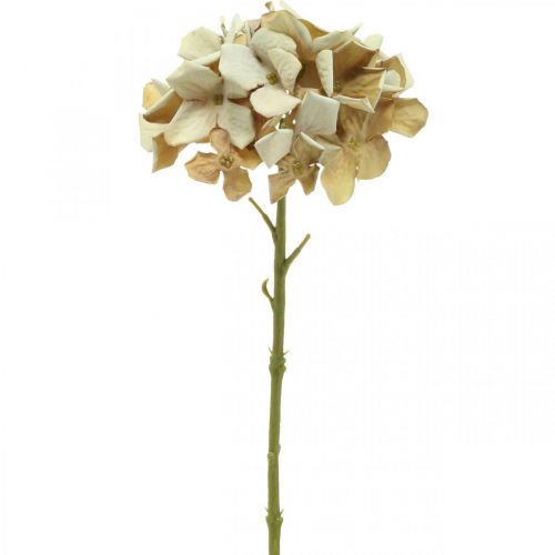 Floristik24 Hortenzia umelý kvet hnedý, biela jesenná dekorácia hodvábny kvet V32cm