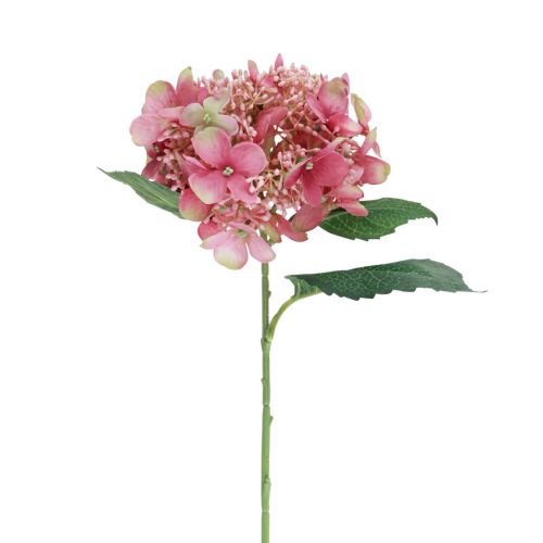 Floristik24 Hortenzia umelý ružový a zelený záhradný kvet s púčikmi 52cm