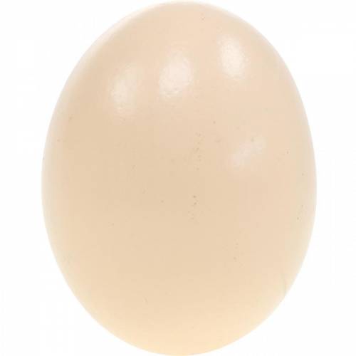 položky Krém z kuracieho vajca Veľkonočná dekorácia Vyfúknuté vajíčka 10ks