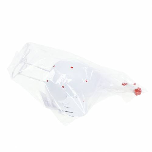 položky Kuracie biele s bodkami 21 cm