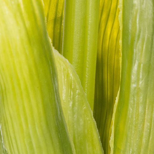 položky Hyacint Real-Touch Pink 40 cm