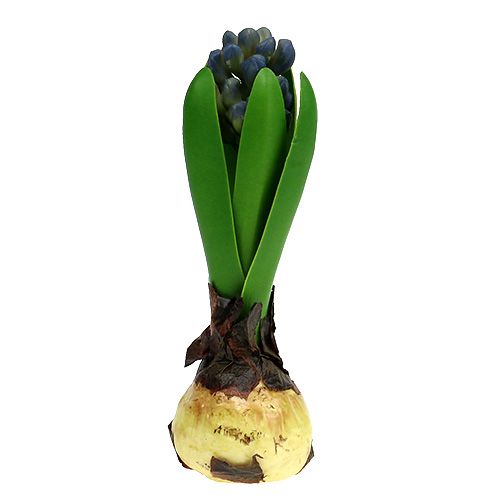 Floristik24 Hyacint s cibuľovou modrou 15cm 3ks