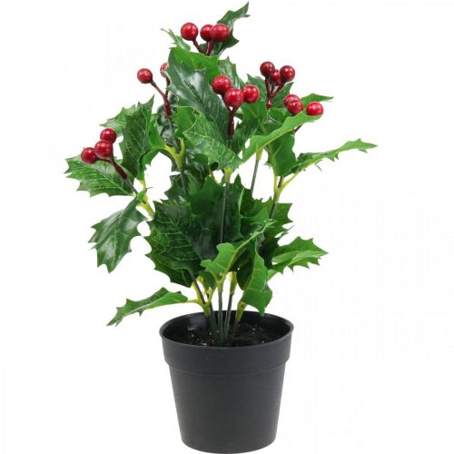 Floristik24 Cezmína v kvetináči umelé rastliny Ilex umelé 26cm