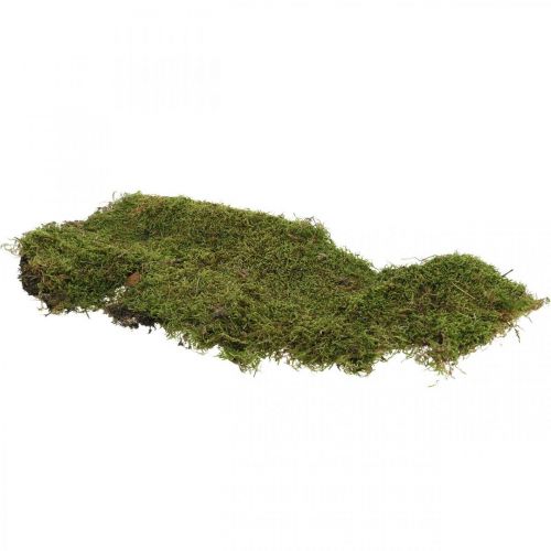 položky Indický mach lesný mach zelený prírodný 2kg