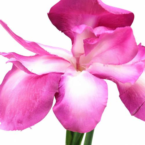 položky Iris umelý ružový 78cm