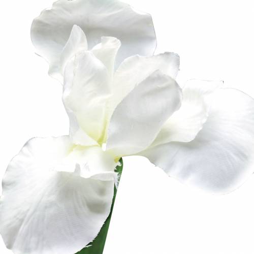 položky Iris umelá biela 78cm