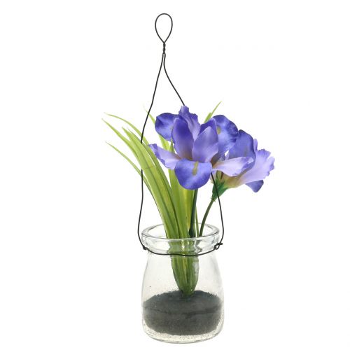 položky Iris fialový v pohári na zavesenie V21,5cm