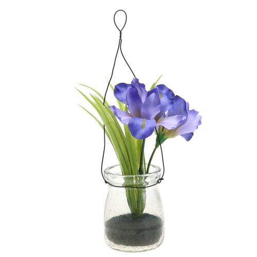 Floristik24 Iris fialový v pohári na zavesenie V21,5cm