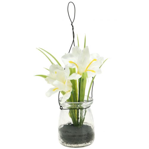 Floristik24 Iris biely v skle na zavesenie V21,5cm