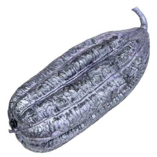Floristik24 Luffa Fruit Violet 14cm – 20cm 10 ks