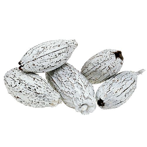 položky Kakaové plody bielené 15ks