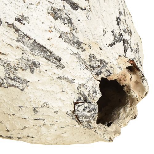 položky Kakaové struky bielené 15 ks