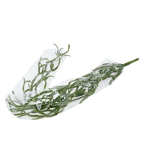 Floristik24 Kaktusový vešiak 115cm zelený