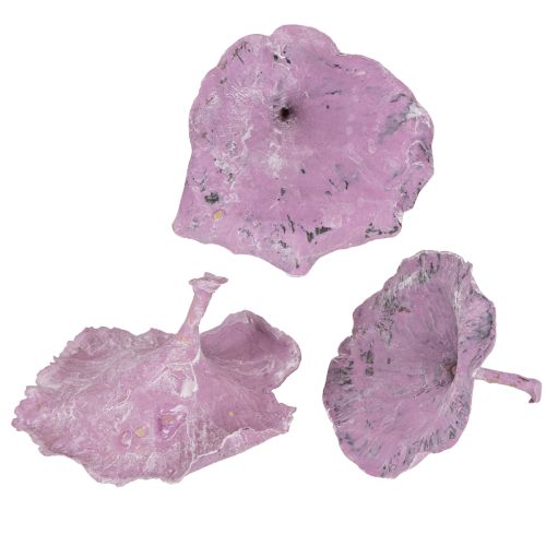 Floristik24 Huby Kalix fialové, biele 100 ks