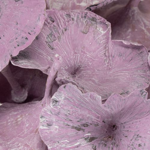 položky Huby Kalix fialové, biele 100 ks