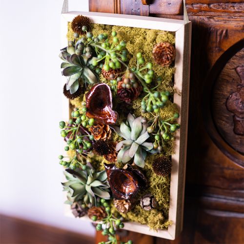 položky Kalix huba prírodná lakovaná dekorácia suchých húb veľká 50 ks