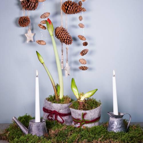 Floristik24 Svietnikový džbán starožitného vzhľadu V12/9cm 2ks