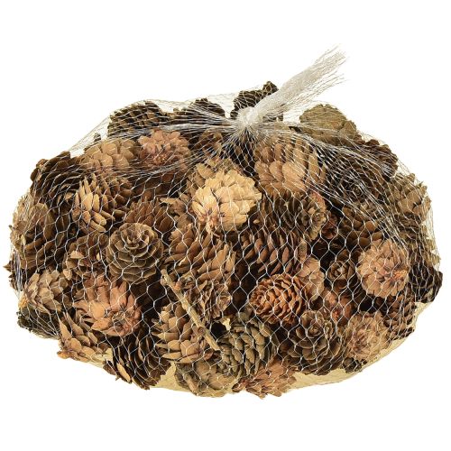 Dekorácia z prírodných šišiek v sieťke 2,5-3,5 cm 300 g | Floristik24.sk