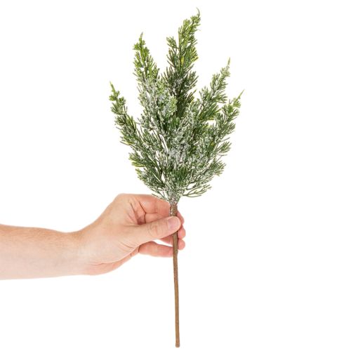 Umelo zasnežená borovicová vetvička na kvetinové aranžmány a adventné dekorácie, 40 cm, 3 kusy | Floristik24.sk