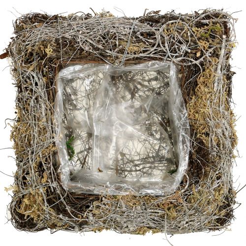 Floristik24 Vankúš mach, vinič 25cm x 25cm