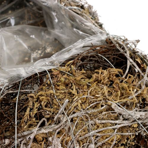 Floristik24 Vankúš mach, vinič 25cm x 25cm