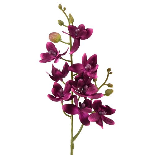 Malá orchidea Phalaenopsis umelý kvet tmavofialový 30cm