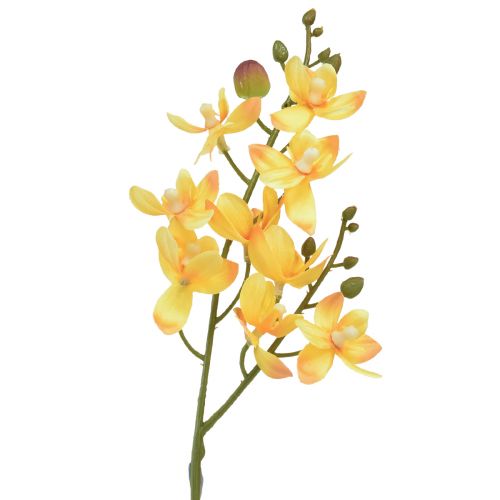 Floristik24 Malá orchidea Phalaenopsis umelá žltá 30cm