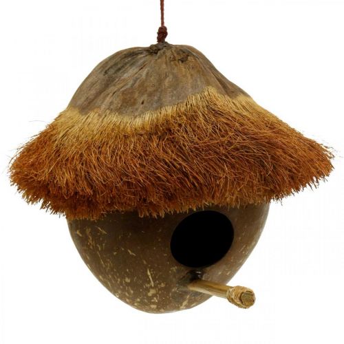 Floristik24 Kokos ako hniezdna búdka, závesný domček pre vtáčiky, kokosová dekorácia Ø16cm L46cm